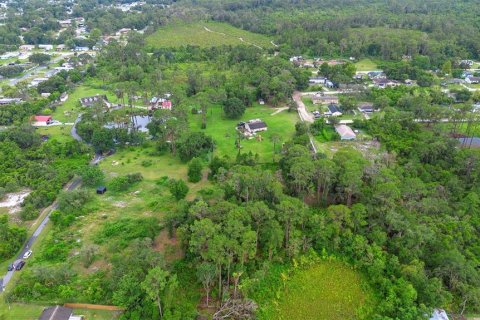 Land in Leesburg, Florida № 1822933 - photo 8