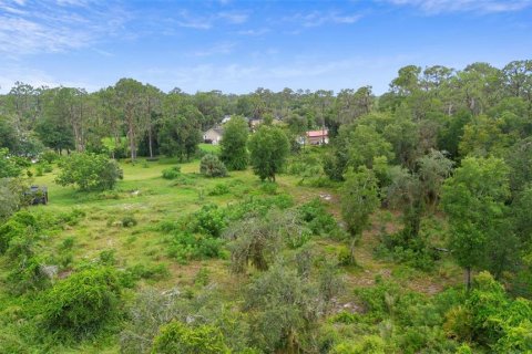 Land in Leesburg, Florida № 1822933 - photo 3
