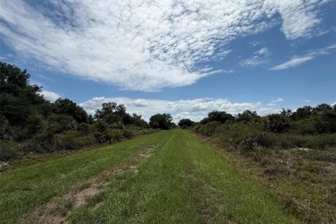 Terrain à vendre à Okeechobee, Floride № 2233702 - photo 6