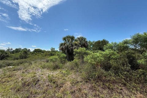 Terrain à vendre à Okeechobee, Floride № 2233702 - photo 2