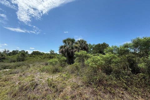 Terreno en Okeechobee, Florida № 2233702