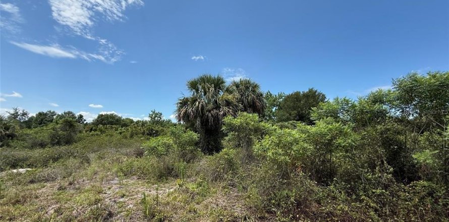 Terrain à Okeechobee, Floride № 2233702