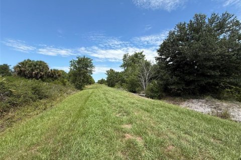 Terrain à vendre à Okeechobee, Floride № 2233702 - photo 5