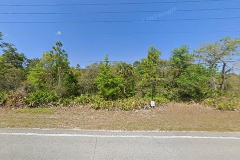 Land in Crystal River, Florida № 2163383 - photo 2