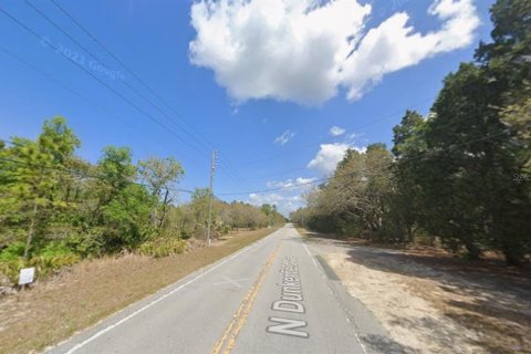 Land in Crystal River, Florida № 2163383 - photo 3