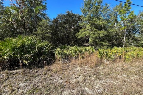 Land in Crystal River, Florida № 2163383