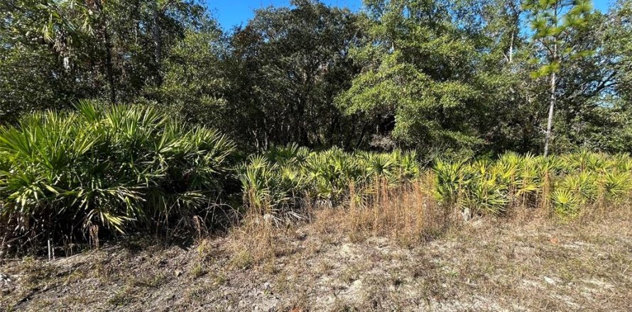 Land in Crystal River, Florida № 2163383