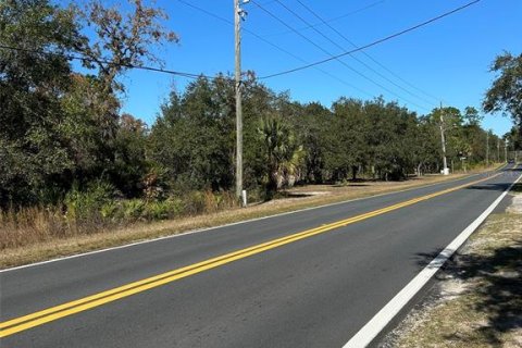 Land in Crystal River, Florida № 2163383 - photo 5