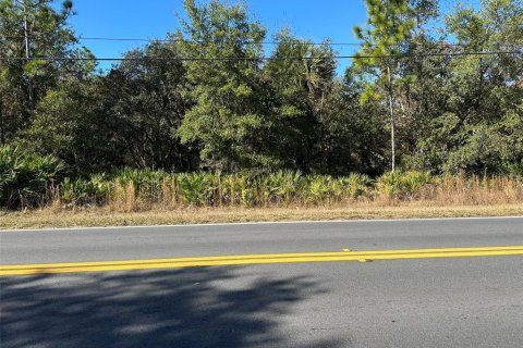 Land in Crystal River, Florida № 2163383 - photo 4