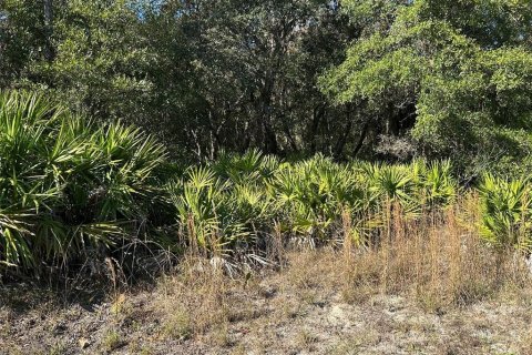 Land in Crystal River, Florida № 2163383 - photo 7