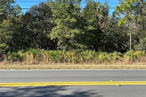 Land in Crystal River, Florida № 2163383 - photo 6