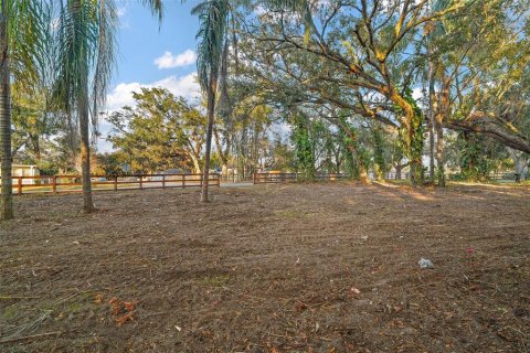 Land in Groveland, Florida № 1520695 - photo 8