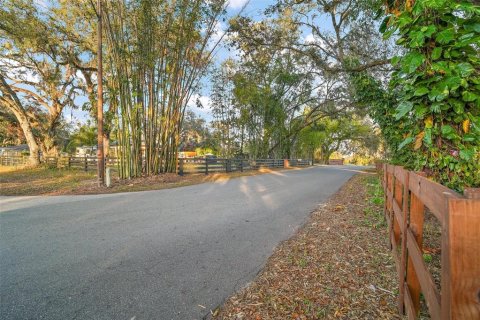 Land in Groveland, Florida № 1520695 - photo 3