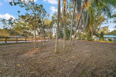Land in Groveland, Florida № 1520695 - photo 7