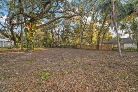 Land in Groveland, Florida № 1520695 - photo 5