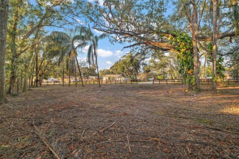 Land in Groveland, Florida № 1520695 - photo 9