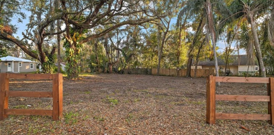 Land in Groveland, Florida № 1520695