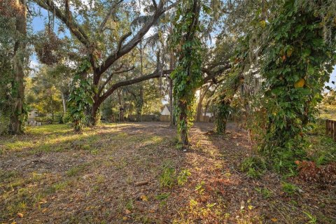 Land in Groveland, Florida № 1520695 - photo 2