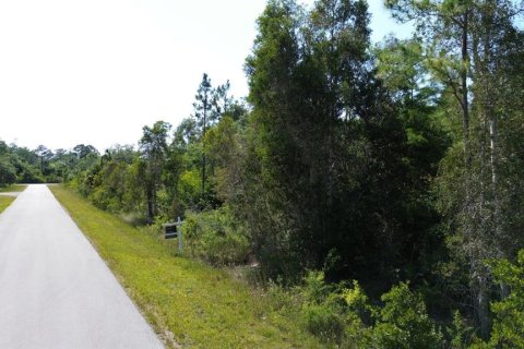 Terrain à vendre à Lehigh Acres, Floride № 2165152 - photo 4