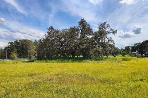 Land in Dade City, Florida № 1537508 - photo 16
