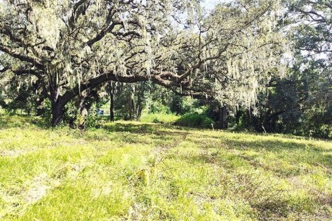 Land in Dade City, Florida № 1537508 - photo 20