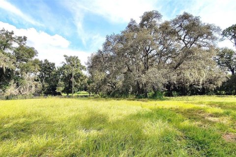 Land in Dade City, Florida № 1537508 - photo 21