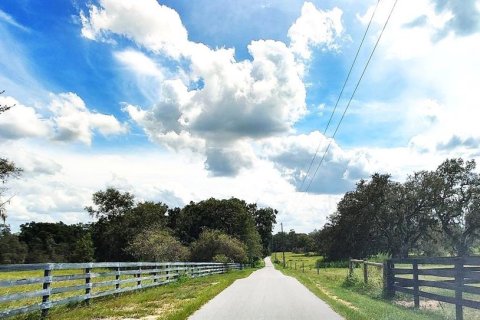 Land in Dade City, Florida № 1537508 - photo 11