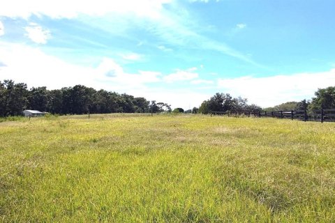 Land in Dade City, Florida № 1537508 - photo 12