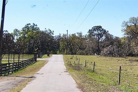 Terrain à vendre à Dade City, Floride № 1537508 - photo 4