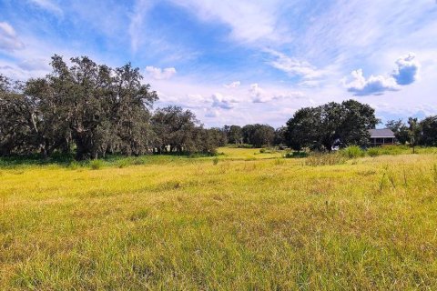 Land in Dade City, Florida № 1537508 - photo 14