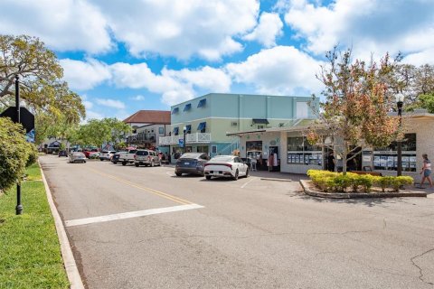 House in Dunedin, Florida 2 bedrooms, 76.64 sq.m. № 1612843 - photo 28