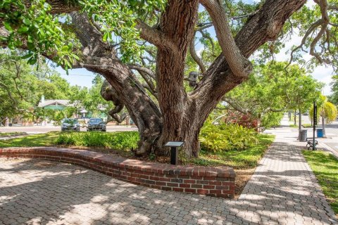 House in Dunedin, Florida 2 bedrooms, 76.64 sq.m. № 1612843 - photo 30