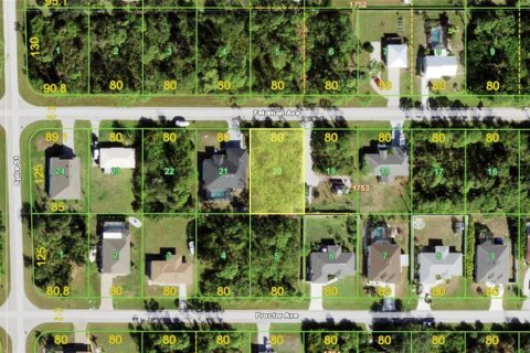 Land in Port Charlotte, Florida № 2384037 - photo 2