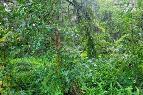 Terreno en venta en Orlando, Florida № 2217042 - foto 9