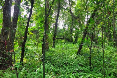 Terreno en venta en Orlando, Florida № 2217042 - foto 5