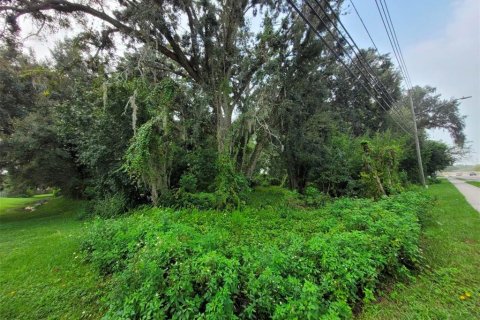 Terreno en venta en Orlando, Florida № 2217042 - foto 10