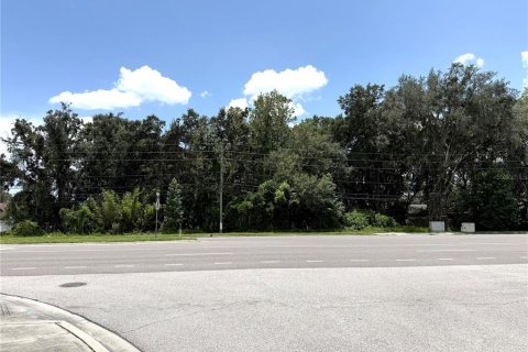 Terreno en venta en Orlando, Florida № 2217042 - foto 13
