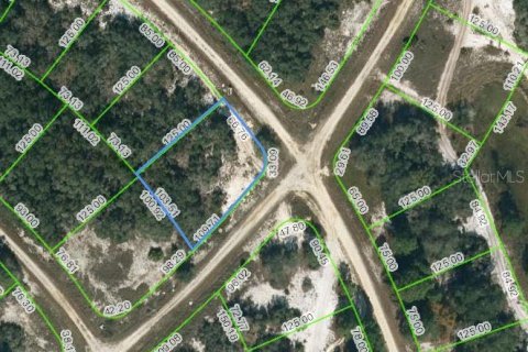 Land in Lake Placid, Florida № 2224007