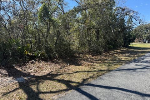 Terrain à vendre à Ocala, Floride № 1915505 - photo 6