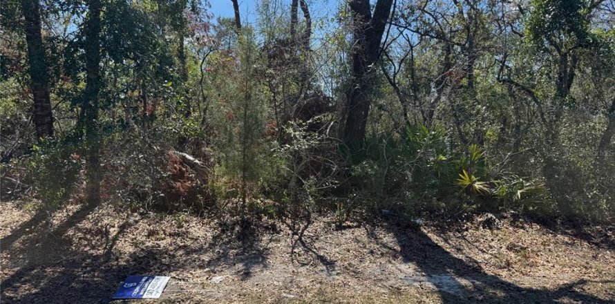Terreno en Ocala, Florida № 1915505