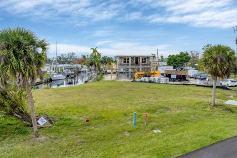 Terreno en venta en Port Charlotte, Florida № 1912296 - foto 3