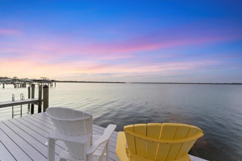 Villa ou maison à vendre à Bradenton, Floride: 6 chambres, 420.75 m2 № 1637506 - photo 6