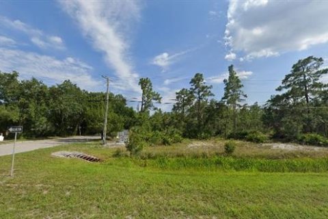 Land in Christmas, Florida № 2161393 - photo 2