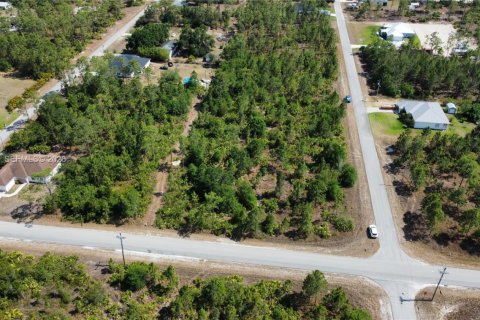 Land in Lehigh Acres, Florida № 2158261 - photo 12