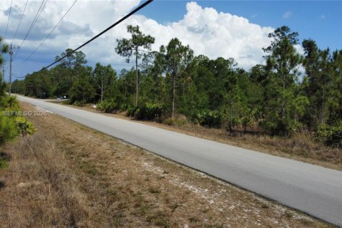Land in Lehigh Acres, Florida № 2158261 - photo 10