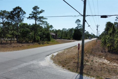 Land in Lehigh Acres, Florida № 2158261 - photo 9