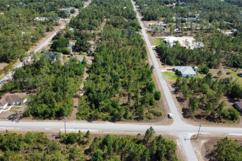 Land in Lehigh Acres, Florida № 2158261 - photo 8