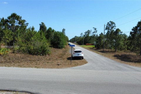 Land in Lehigh Acres, Florida № 2158261 - photo 11