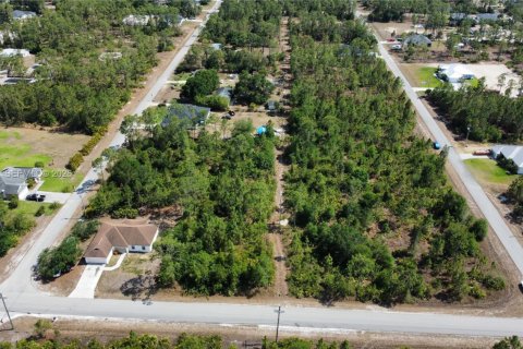 Land in Lehigh Acres, Florida № 2158261 - photo 14