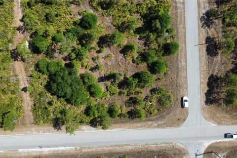 Land in Lehigh Acres, Florida № 2158261 - photo 5